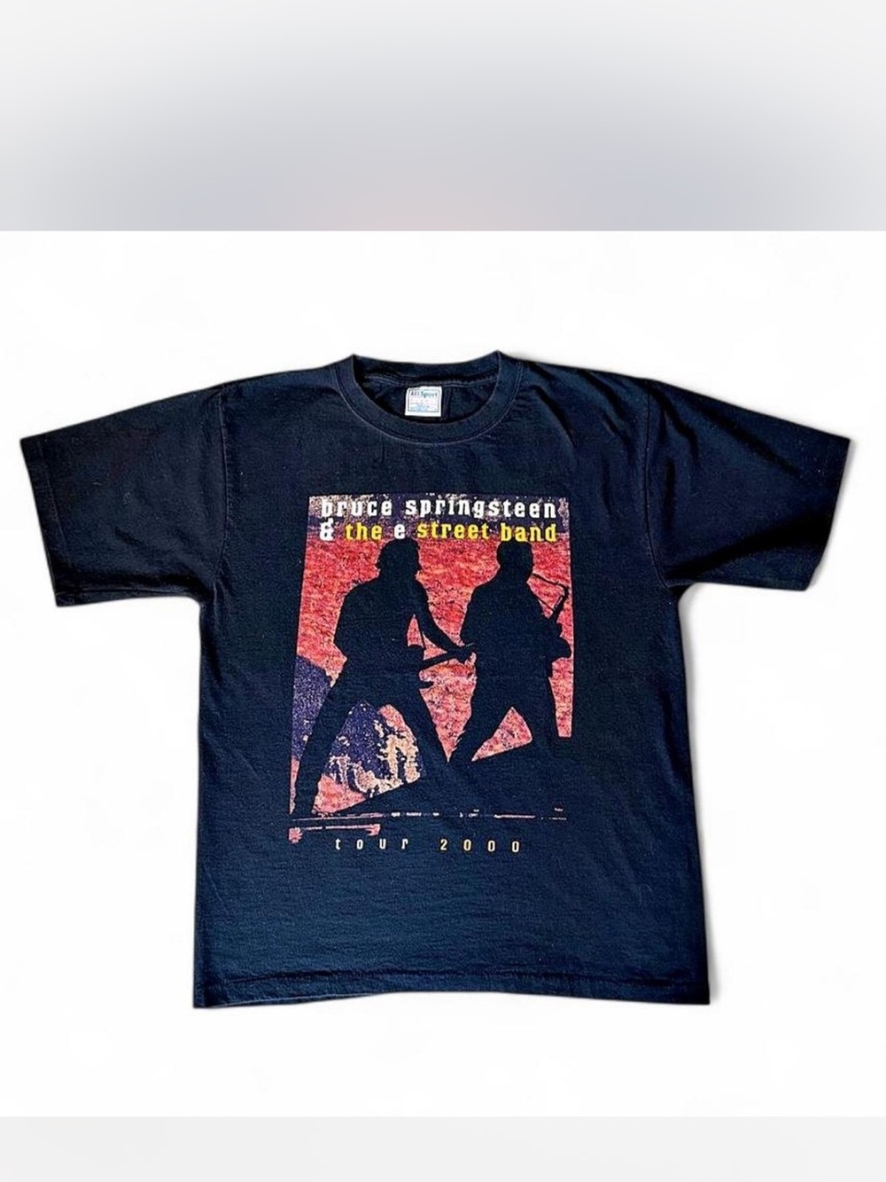 Vintage 2000 Bruce Springsteen E Street Band Tour Concert T Shirt All Sport L